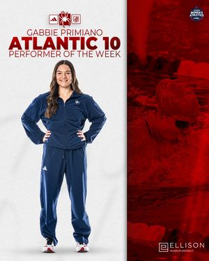 Image post by @spiderswimdive on Instagram
