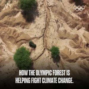 Image post by @olympics on Instagram