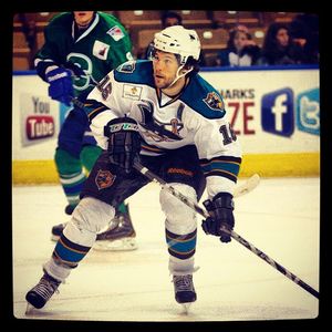 Image post by @sanjosesharks on Instagram