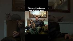 Video post by @discoveryplus on YouTube