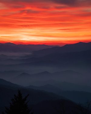 Image post by @zanderbetterton on Instagram