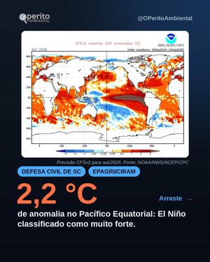 Image post by @operitoambiental on Instagram