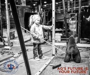 Image post by @americanroyalassociation on Facebook