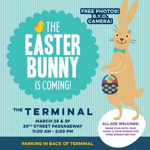 Image post by @sdterminal on Instagram