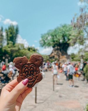 Image post by @waltdisneyworld on Instagram