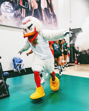 Image post by @canes_vb on Instagram