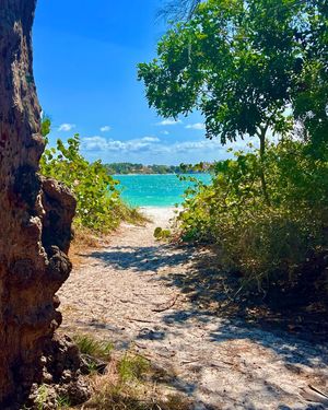Image post by @visitsarasotacounty on Instagram