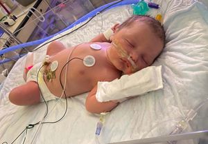 Image post by @childrensphila on Instagram