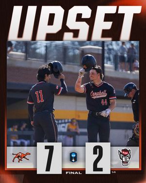 Image post by @ncaabaseball on Instagram