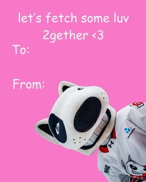 Video post by @ohlicedogs on TikTok