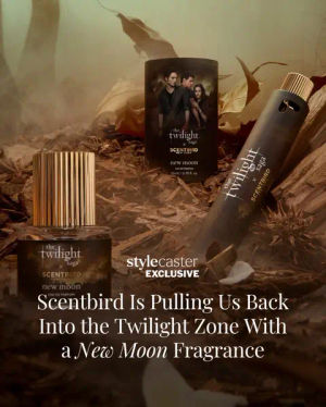Image post by @stylecaster on TikTok
