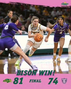 Image post by @ndsuwbb on Instagram