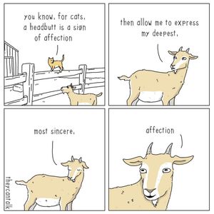 Image post by @9gag on Instagram