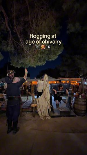 Video post by @bellasseen on TikTok