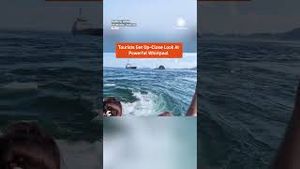 Video post by @accuweather on YouTube