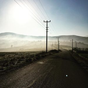 Image post by @alpertongfidanligi on Instagram
