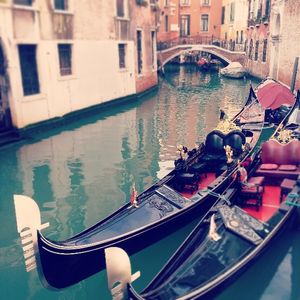Image post by @profvanacore on Instagram