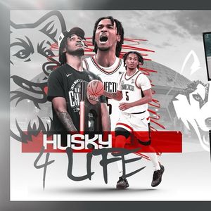 Image post by @stephcastle on Instagram