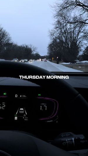 Video post by @notgreeneggsandsam on TikTok