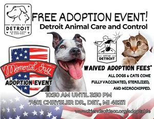 Image post by @DetroitGSD on Facebook