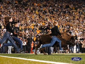 Image post by @CUBuffs on Twitter