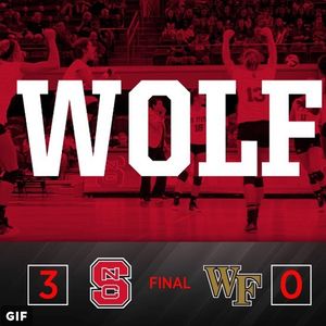 Image post by @packvball on Instagram
