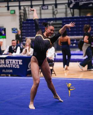 Image post by @uwgymnastics on Instagram
