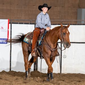 Image post by @american_royal on Instagram