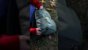 Video post by @moment on YouTube