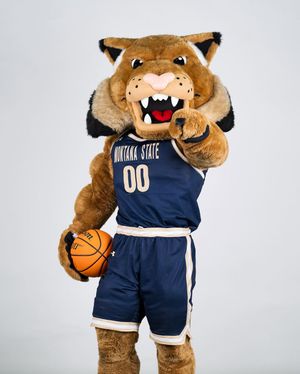 Image post by @champskidsclub on Instagram