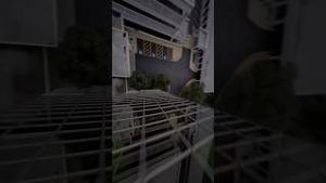 Video post by @nisflix on YouTube