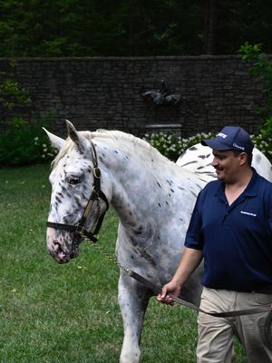 Image post by @coolmoreamerica on Instagram
