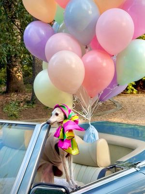 Image post by @popcharlotteballoons on Instagram