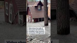 Video post by @nbcnews on YouTube