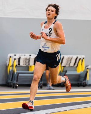 Image post by @nicoklementzos on Instagram