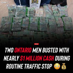Image post by @shottawa.tv on Instagram