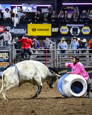 Image post by @BlueFCUArena on Facebook