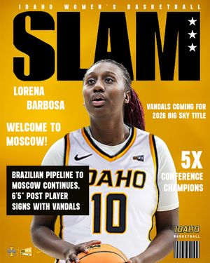 Image post by @vandalswbb on Instagram