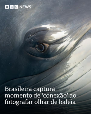 Image post by @bbcbrasil on Instagram