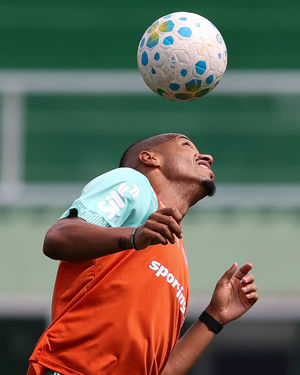 Image post by @palmeiras on Instagram