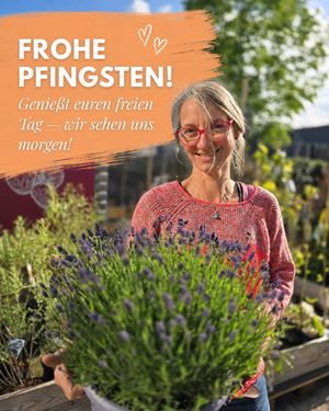 Image post by @oldenburgerwohngarten on Instagram