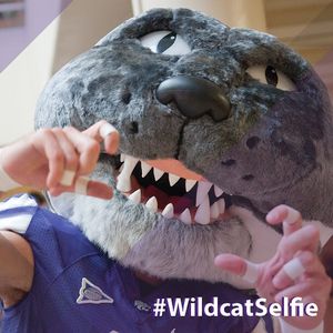Image post by @kansasstateuniversity on Instagram