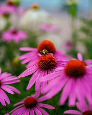 Image post by @itskrystalj on Instagram