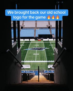 Video post by @panthers on TikTok