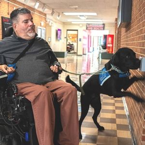 Image post by @canineorg on Instagram