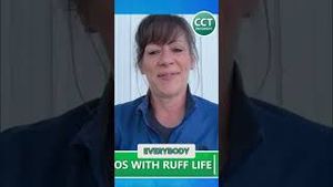 Video post by @civiccentertv on YouTube