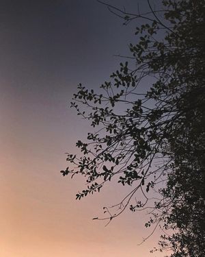 Image post by @prernasin on Instagram
