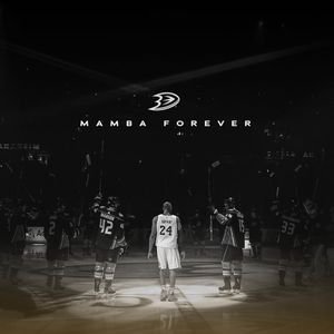 Image post by @anaheimducks on Instagram