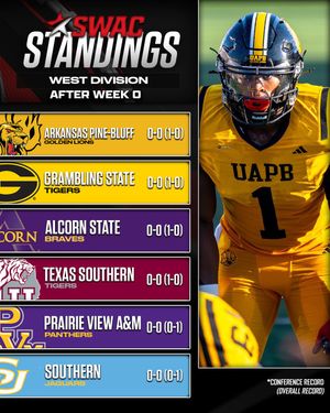 Image post by @theswac on Instagram