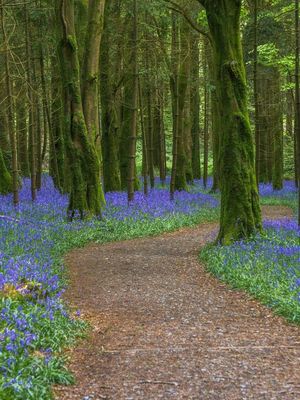 Image post by @discoverireland.ie on Instagram
